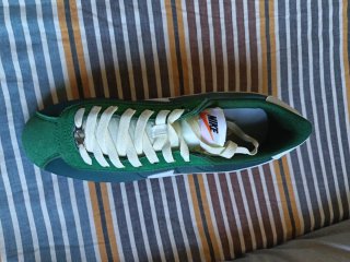 Zapatillas Nike Cortez Verdes y Blancas