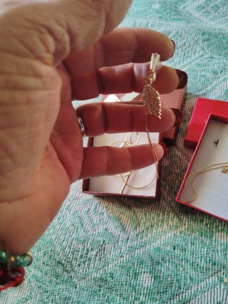 Pendientes dorados clip aro y pluma
