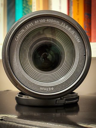 Canon EOS R10 + RF 100-400mm