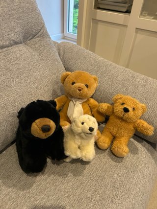 Ositos de peluche varios colores