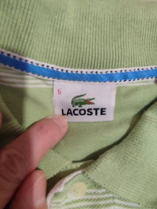 Polo Lacoste Hombre Talla 5 Rayas Verdes