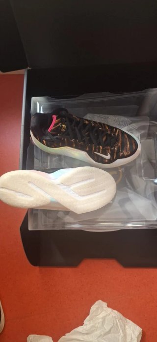 Nike LeBron 23 Zapatillas Baloncesto Marrón Multic