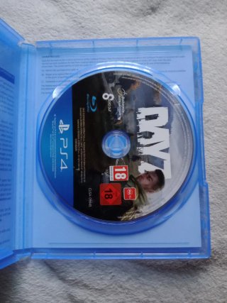 DayZ PS4 (PlayStation 4) Survival