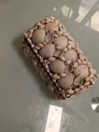 Cassa decorativa con conchiglie marine