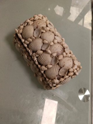 Cassa decorativa con conchiglie marine