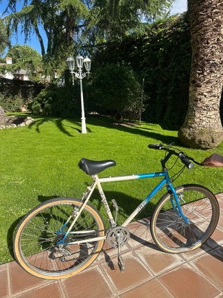 Bicicleta de adulto con marchas