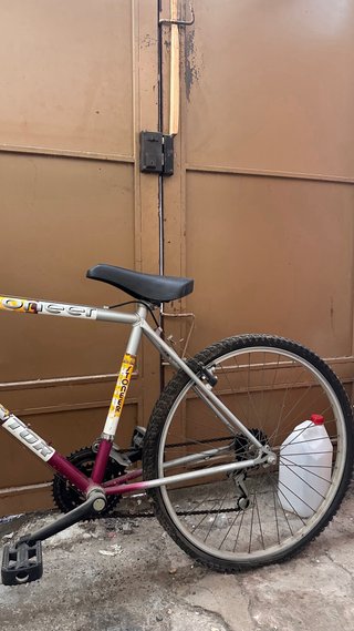 Bicicleta de montaña Pioneer