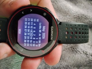 Reloj Garmin Forerunner 235 Negro