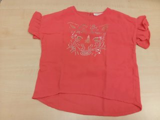 Lote ropa niña 6 años.