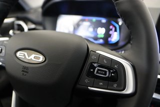 EVO EVO 4 1.6 GLP
