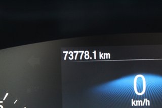 Ford FOCUS 1.0 EcoBoost MHEV 155 Auto ST-Line (2023)