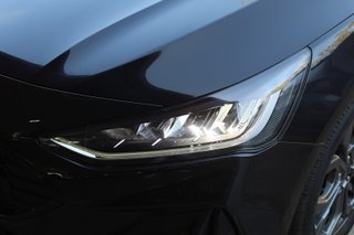 Ford FOCUS 1.0 EcoBoost MHEV 155 Auto ST-Line (2023)