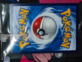 Set Pokémon Mary & Morpeko: minitin promo sleeves