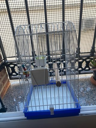 Gabbia per uccelli bianca e blu