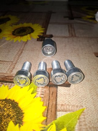 Tornillos Antirrobo Volkswagen