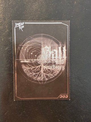 Salt and Sanctuary PS4 Limited Run Games