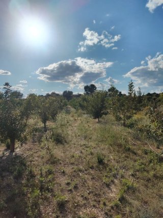 Terreno rústico en Lliria,de 22 hdas riego a goteo