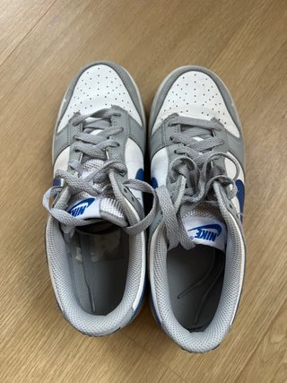 Zapatillas Nike Dunk Low