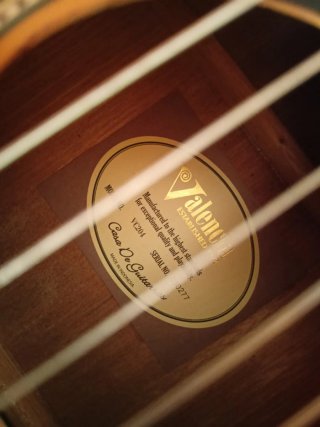 Guitarra Española Valencia iniciación (VC204)