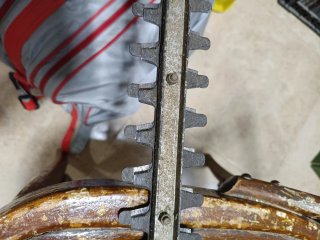 Cortasetos Eléctrico Sterwins