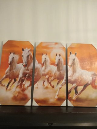 Cuadros de caballos en tela