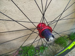 Ruedas PROGRESS Carbono