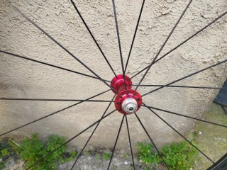 Ruedas PROGRESS Carbono