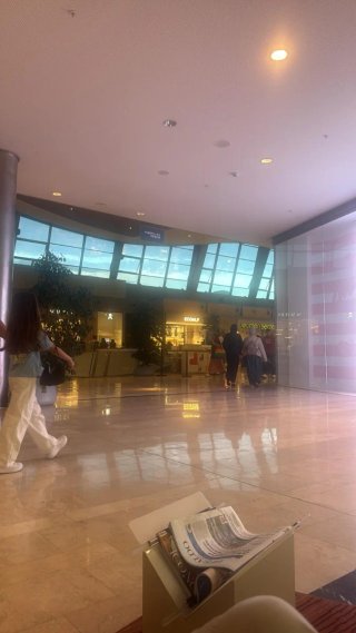 mudanza económica vacíar locales furgoneta grande