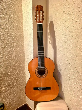 Guitarra Admira Juanita con funda