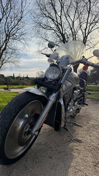 Harley Davidson V-Rod 100 Aniversario