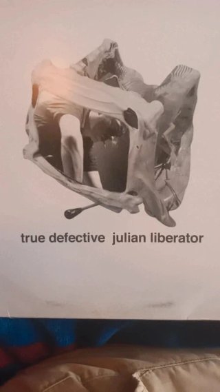 Vinilo Julian Liberator - True Defective