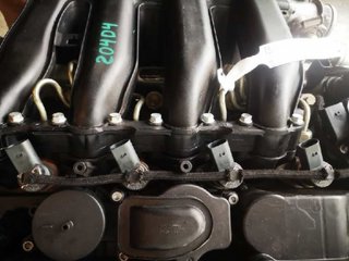 DESPIECE MOTOR BMW SERIE 3 COMPACTO (E46) 204D4