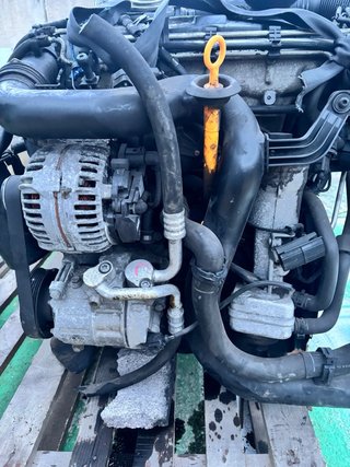 Motor 1.9TdI 105cv