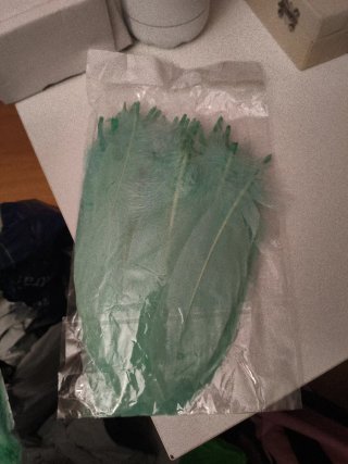 Plumas de ganso verde menta