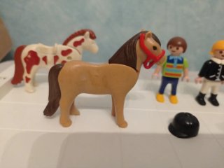 Playmobil equitación (pony de regalo) HH