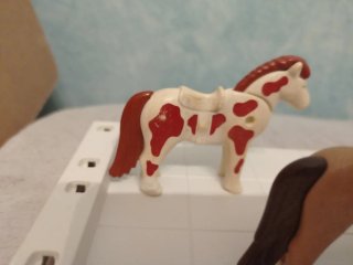 Playmobil equitación (pony de regalo) HH