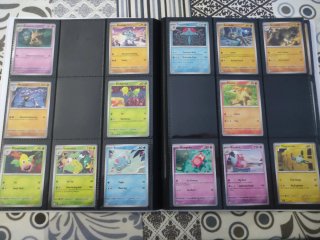 Colección Cartas Pokémon 151