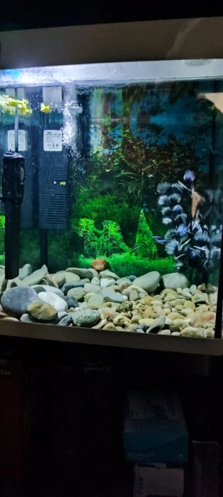Acuario Nano LED Crystal