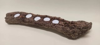 Suporte de velas