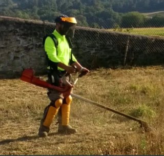 Muy muy barato limpieza casas terrenos parcelas