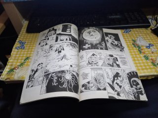 Las Aventuras de Fly no35