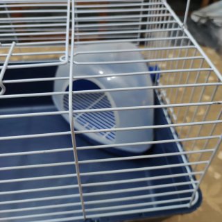 Jaula para cobaya azul