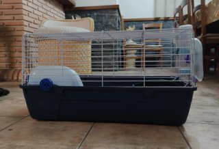Jaula para cobaya azul