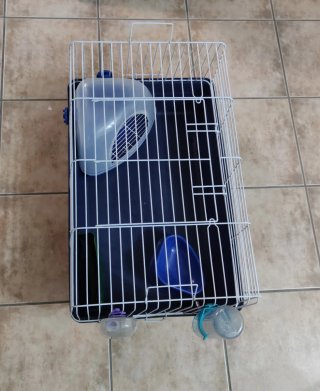 Jaula para cobaya azul