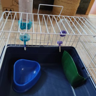Jaula para cobaya azul