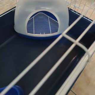 Jaula para cobaya azul