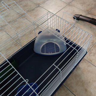 Jaula para cobaya azul
