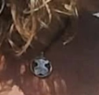 Conjunto Tous Plata Oso