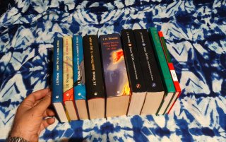 Lote Harry Potter