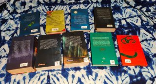 Lote Harry Potter